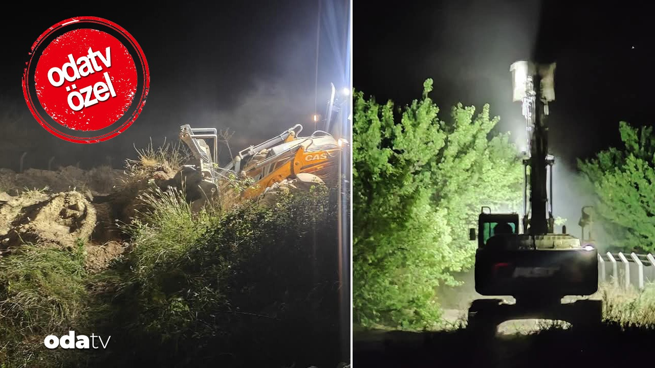 mezarlik projesi agaclara mezar oldu malatyada kayisi kiyimi ejBQ6HwJ