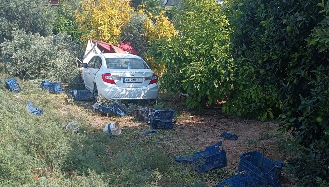 zeytin toplayan iscilere carpti olu sayisi yukseldi qu7s4Y1J