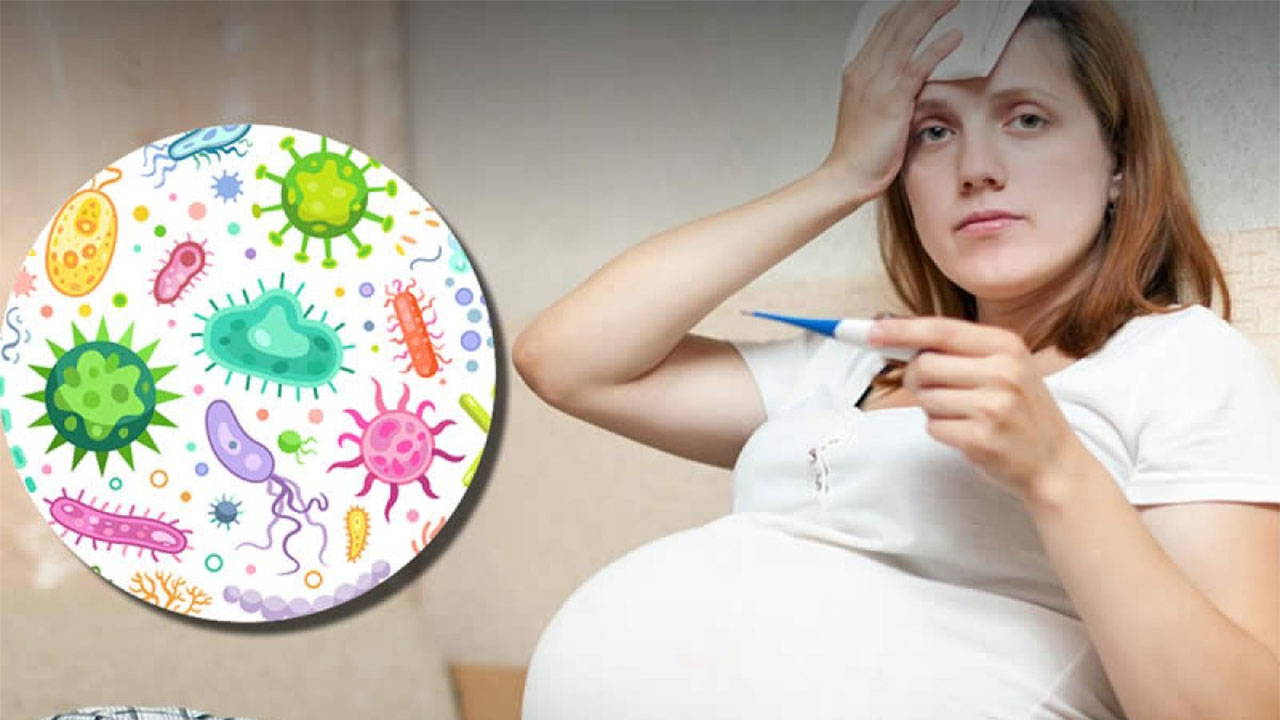 uzmandan uyari grip gebelerde daha agir seyrediyor yBx6KBlO.jpg