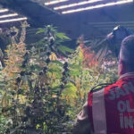 30-ilde-narkotik-operasyonu-122-supheli-tutuklandi-HCkQqjy5