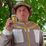 Haber gorseli